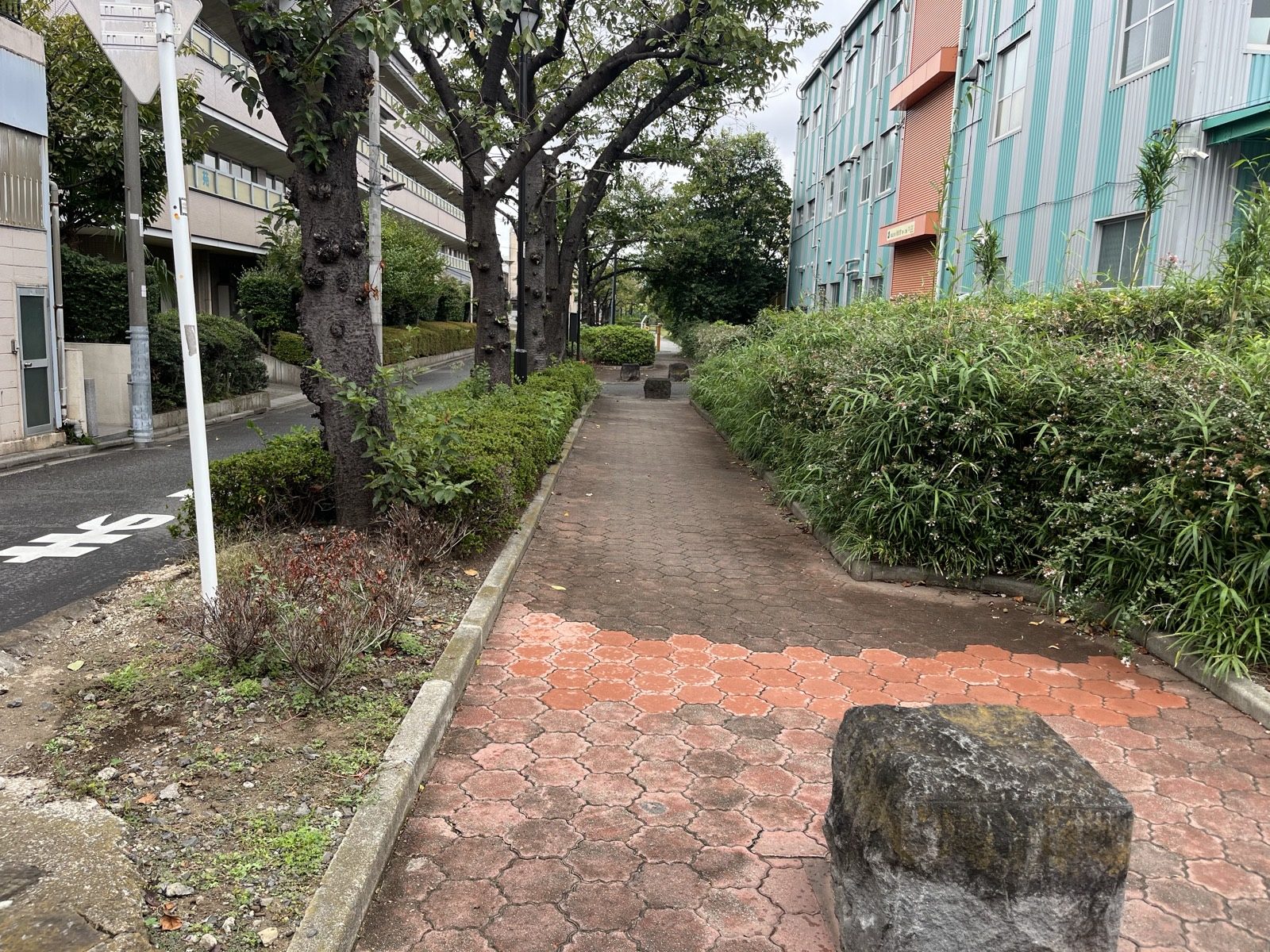 徒歩1分の散歩ルート